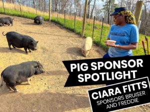 Ciara Fitts Pig Sponsor