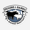 piggins and banks magnet