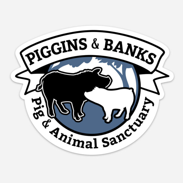 piggins and banks magnet