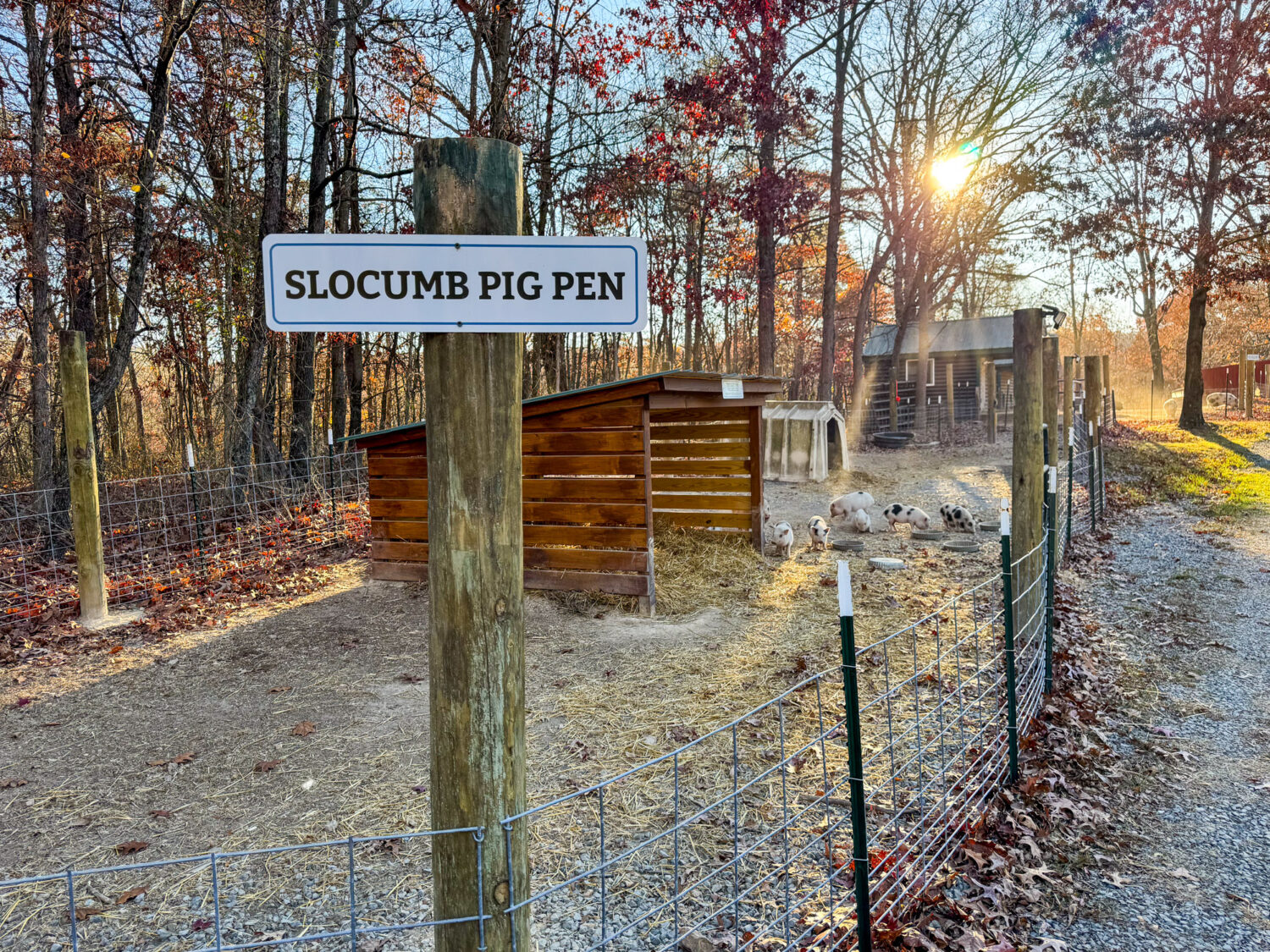 photo of the slocumb pig pen