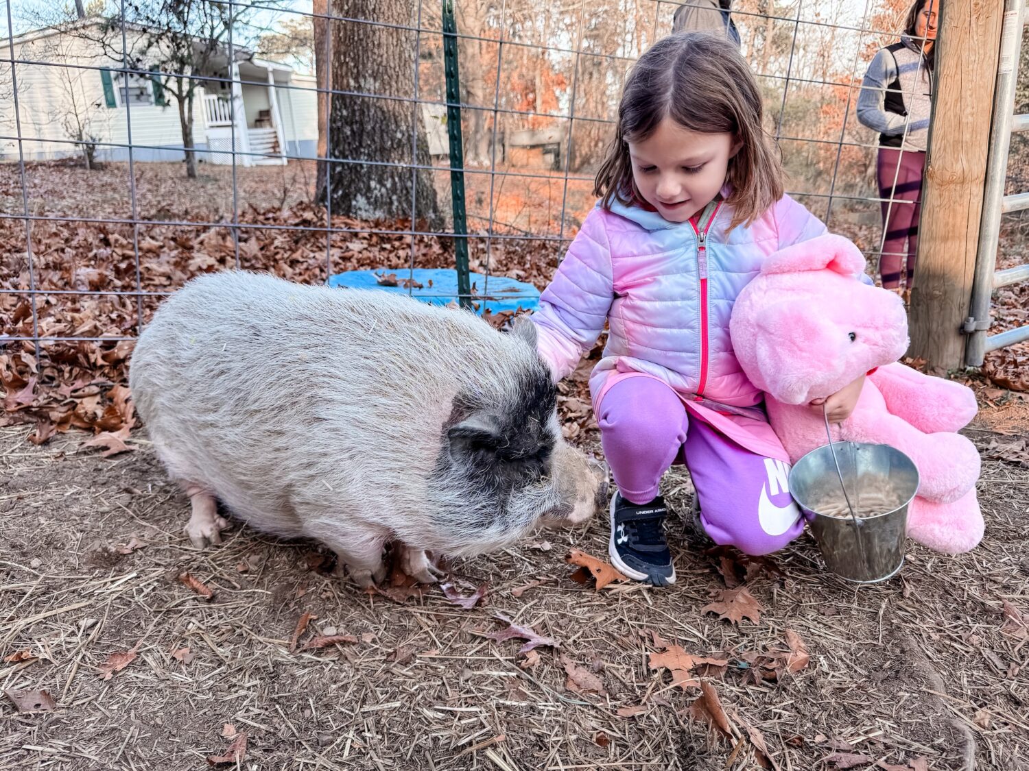 Rosie meeting a young child during a tour visit in December 2024.