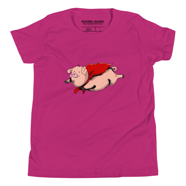 Flying Super Pig Youth T-Shirt - Image 4