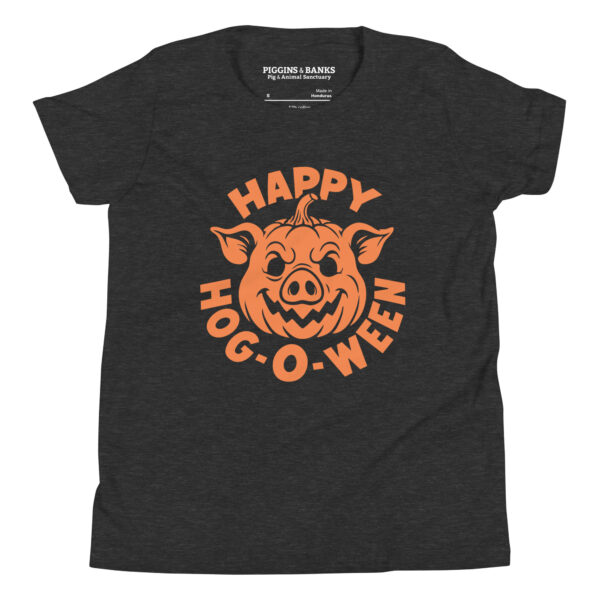 Happy Hog-o-ween Pig Halloween Youth T-Shirt - Image 2