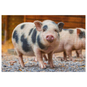 Piglet Jigsaw Puzzle with Tin